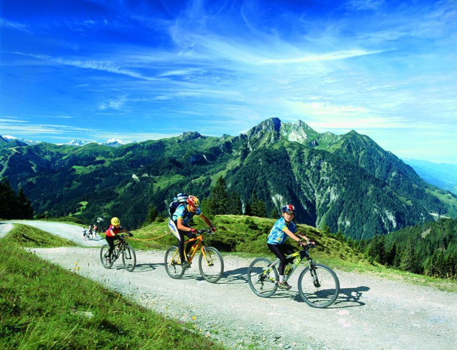 Pension Hochkoenigblick Sankt Johann im Pongau Dış mekan fotoğraf